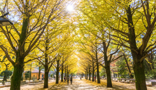 町会だより・11月