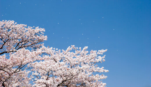 町会だより・3月